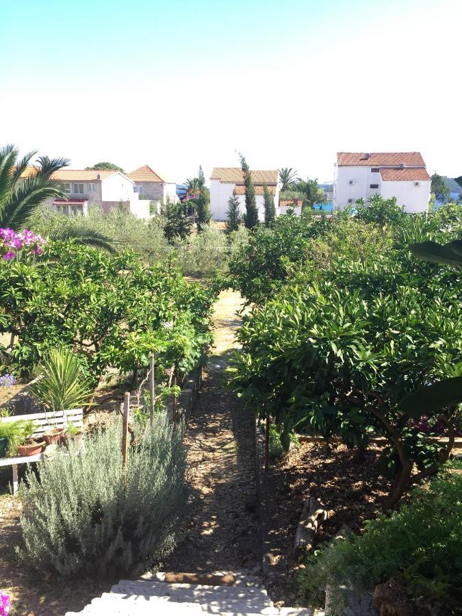 Apartments By The Sea Orebic, Peljesac - 11450 Екстер'єр фото